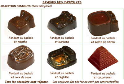 Bonbons de chocolats bio au fondant (sans allergènes) - 200g