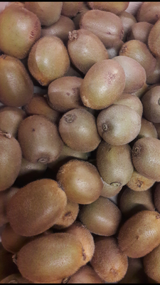 2kg kiwi hayward bio