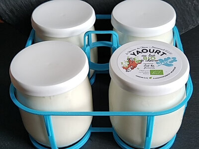 Yaourt au lait de chèvre nature