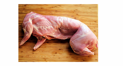 Lapin