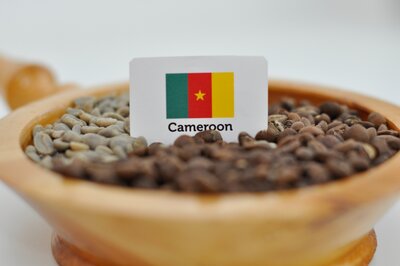 Café du cameroun - région ouest - arabica java - en grains