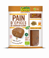 Pain d'épices de sarrasin germé au