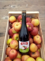 Cidre brut de pomme juliet
