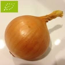 Oignons jaune