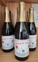 Champ' de pommes 75cl