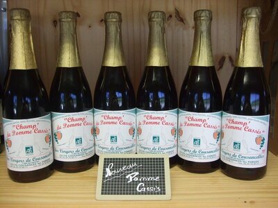 Champ' de pomme cassis 75cl