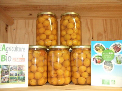 Mirabelles bio au sirop léger