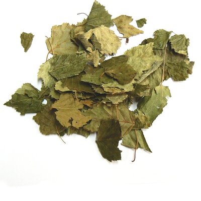 Tisane bouleau