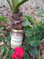 Tartinade de madame aux pois chiches