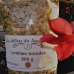 Lentilles blondes 5 kg
