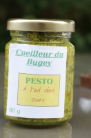 Pesto à l' 'ail des ours'