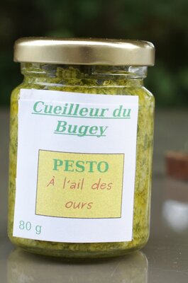 Pesto à l' 'ail des ours'