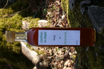 Sirop de fenouil