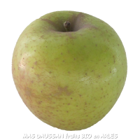 2 kg pommes goldrush bio