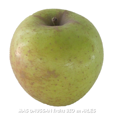 2 kg pommes goldrush bio