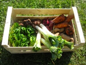 Panier de légumes