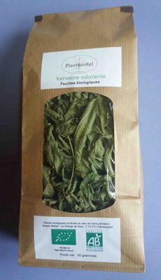 Verveine odorante