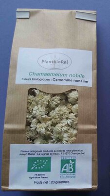 Camomille romaine
