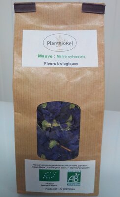 Mauve sylvestre fleurs date depasee
