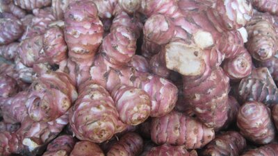 Topinambour (500g)