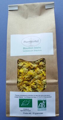 Bouillon blanc fleurs