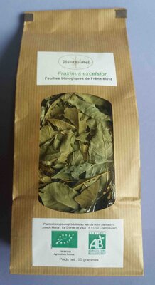 Frêne feuilles date dépassée