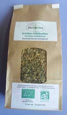 Achillée millefeuille sommités fle