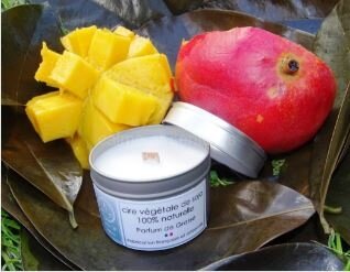 Bougie végétale parfum mangue