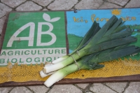 * botte de poireaux bio