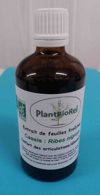 Cassis extrait hydroalcoolique