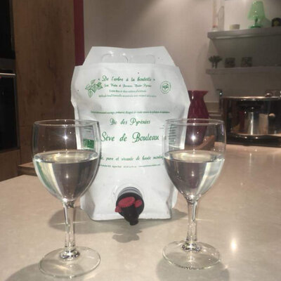 Lactofermenté seve de bouleau bio montagne