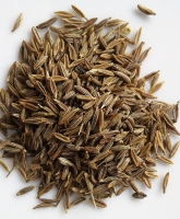 Cumin grains