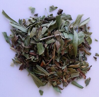 Estragon feuilles