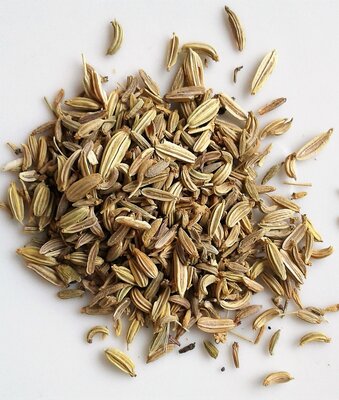 Fenouil grains