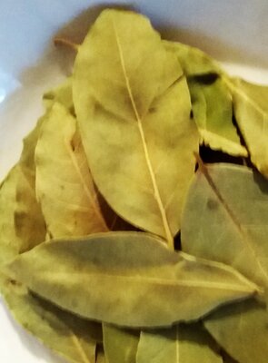 Laurier feuilles