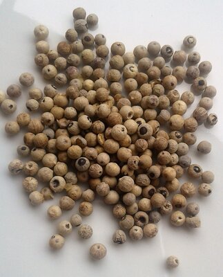 Poivre blanc grains