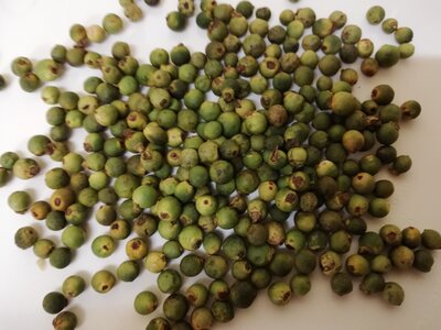 Poivre vert grains