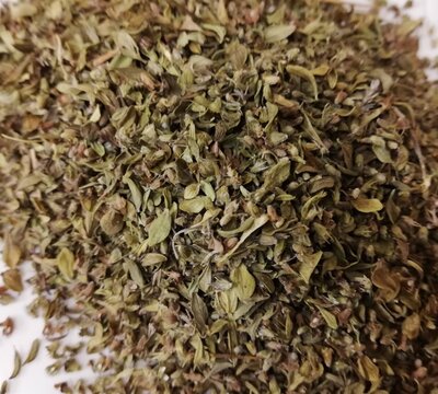 Thym citron feuilles