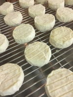 Fromage de chèvre ab  « frais » par 3