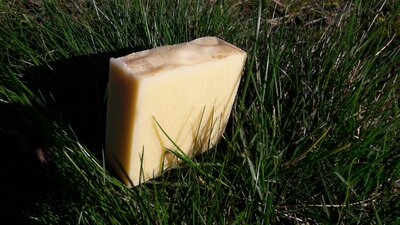 Savon surgras paix retrouvée calendula aloe avoine brebis