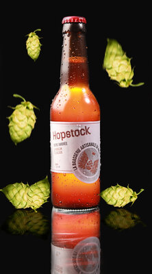 C.hopstock bière ambrée houblonnée