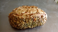 Pain au petit épeautre et graines de courge bio