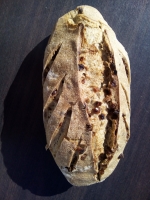 Pain seigle abricot bio