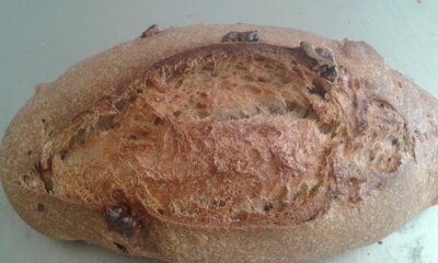 Pain aux noix bio