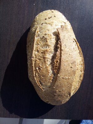 Pain au lin bio
