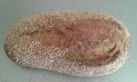 Pain au sésame bio