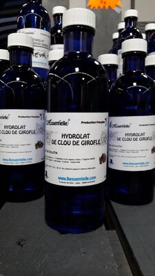 Hydrolat clou de girofle