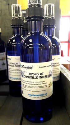 Hydrolat camomille matricaire