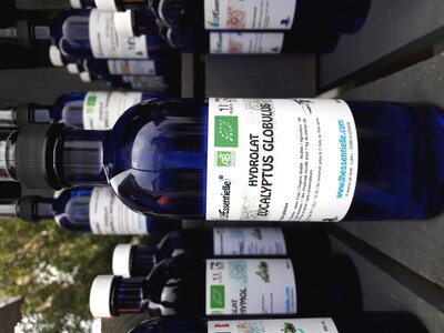 Hydrolat eucalyptus globulus