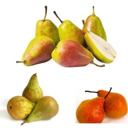 Poires : mélange de variétés